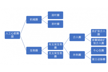 人工心臟瓣膜行業(yè)細(xì)分產(chǎn)品介紹（附報(bào)告目錄）