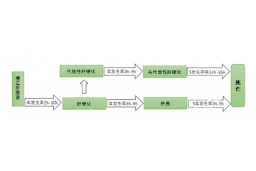 中國(guó)系全球乙肝病毒中高度流行區(qū)，用藥市場(chǎng)規(guī)模大（附報(bào)告目錄）