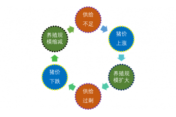 生豬養(yǎng)殖行業(yè)發(fā)展受益于三大有利驅(qū)動因素（附報告目錄）