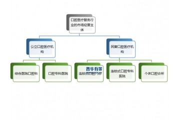 我國(guó)口腔醫(yī)療服務(wù)行業(yè)市場(chǎng)化和民營(yíng)化程度不斷提升