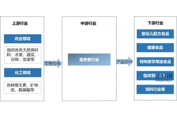 營(yíng)養(yǎng)素行業(yè)蓬勃發(fā)展下的機(jī)遇與挑戰(zhàn)分析