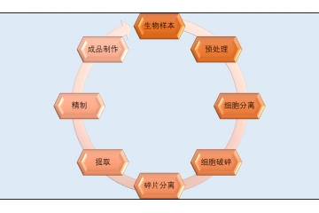 生物科學(xué)儀器行業(yè)應(yīng)用前景分析（附報(bào)告目錄）