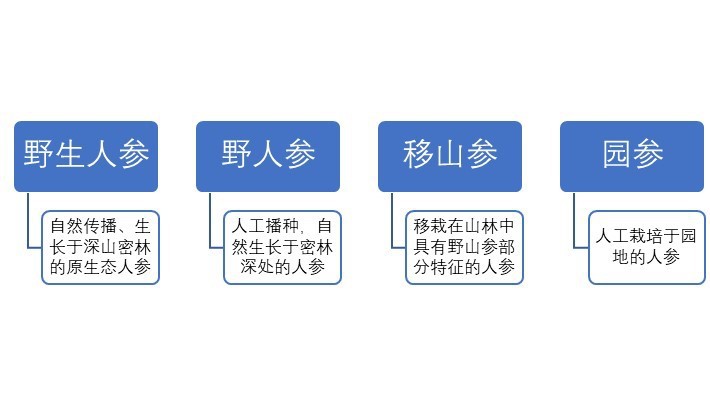 2020-2026年國內外參種植及加工業(yè)前景預測報告(圖1)