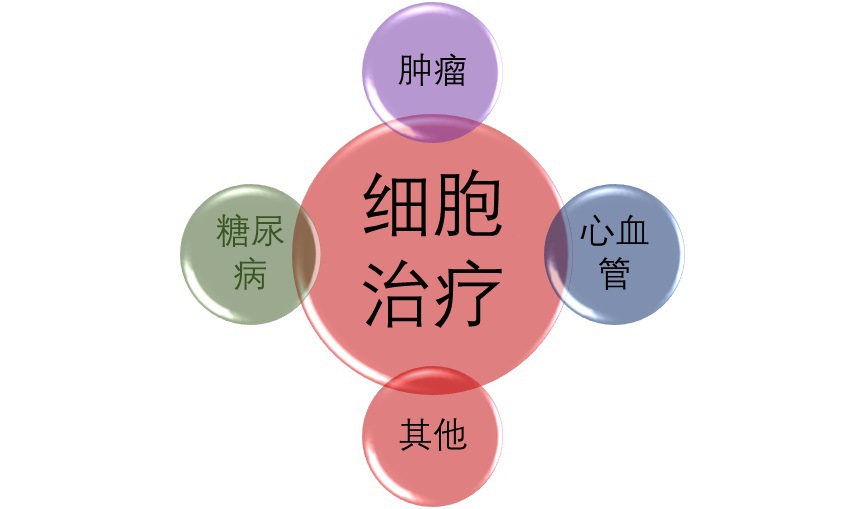 2020-2026年細胞治療行業(yè)深度調研及投資前景預測報告(圖1)