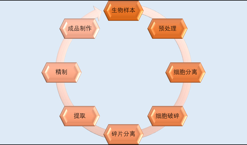 2020-2026年中國生物科學(xué)儀器行業(yè)投資前景專項報告(圖1)